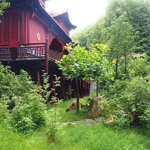 Pandasia - Outdoor exhibit and Giant panda and restaurant building, 2023-08-17