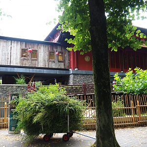 Pandasia - View of backside of Giant panda and restaurant building and connecting building to gift shop, 2023-08-17