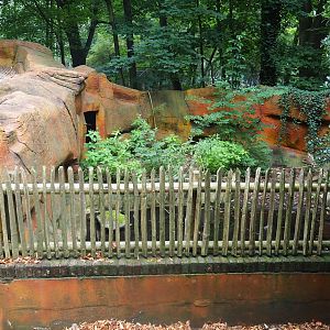 Swallow-bellied Mangalitsa pig side exhibit, 2023-08-17