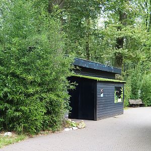 Small nocturnal house, 2023-08-17