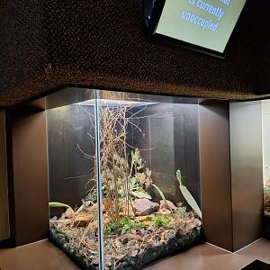 Unoccupied terrarium