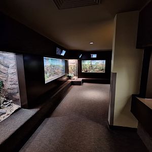 Left side front hall (Venomous snakes)