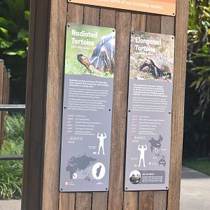 New Radiated/Elongated Tortoise Signage