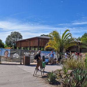 African kiosk - under construction