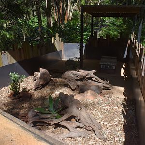 Echidna enclosure