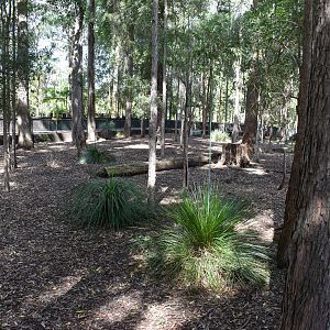 Emu enclosure