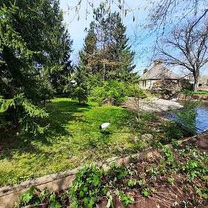 Red Crowned Crane/Tufted Deer Exhibit