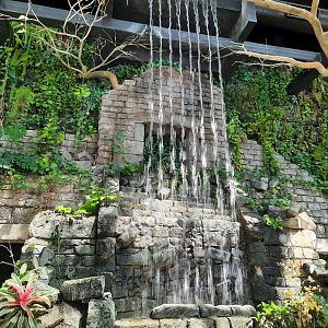 RainForest Entrance Waterfall