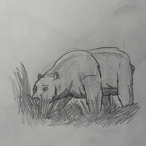 Arctotherium wingei doodle