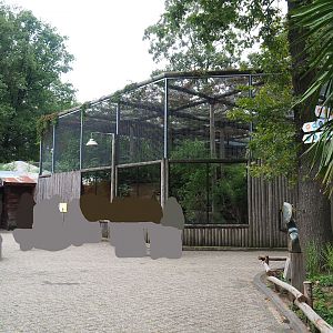 Indochinese clouded leopard exhibit, 2023-08-17