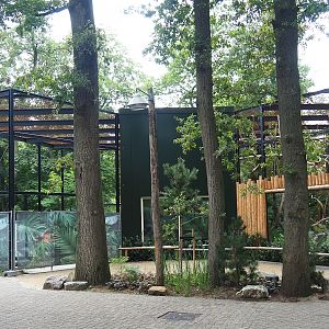 New Yellow-throated marten exhibit under construction, 2023-08-17