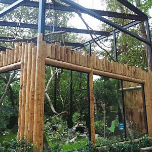 New Yellow-throated marten exhibit under construction, 2023-08-17