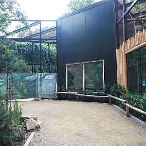 New Yellow-throated marten exhibit under construction, 2023-08-17