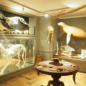 Part of the museum, 2023-08-17