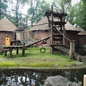 Mandrill exhibit, 2023-08-17