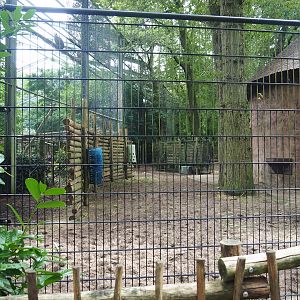 Mountain bongo paddock, 2023-08-17