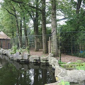 Mountain bongo paddock, 2023-08-17