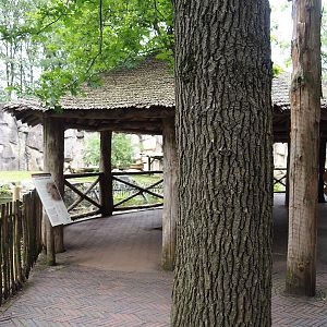 White African lion viewing area, 2023-08-17