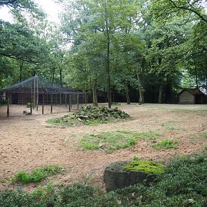 Grévy's zebra and Ostrich paddock, 2023-08-17