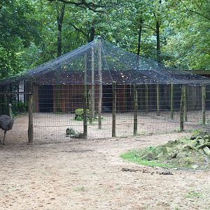 Avian influenza safety holding area for ostriches, 2023-08-17