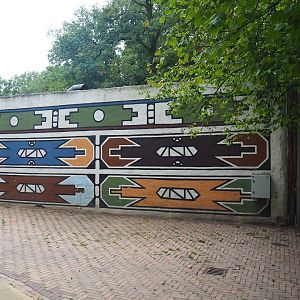 Meerkat and warthog building, 2023-08-17