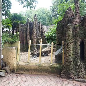 Meerkat exhibit, 2023-08-17