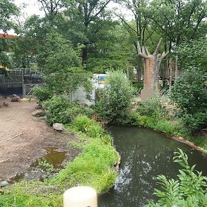 Meerkat and Warthog exhibits, 2023-08-17