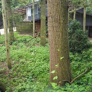 Crowned crane aviary, 2023-08-17