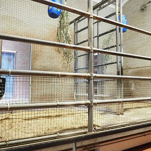 Giraffe stalls, 2023-08-17