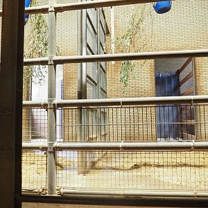 Giraffe stalls, 2023-08-17