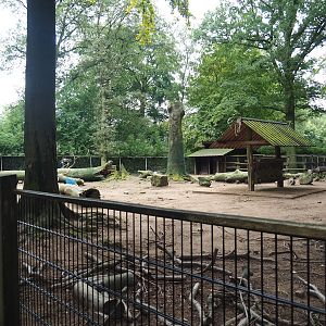 Domestic reindeer paddock, 2023-08-17