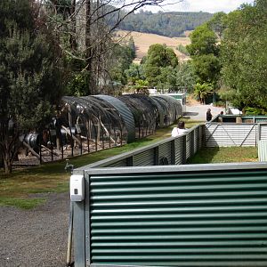 Aviaries and Wombat enclosures