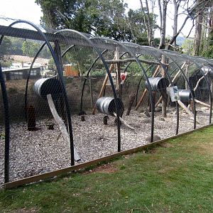 Aviaries