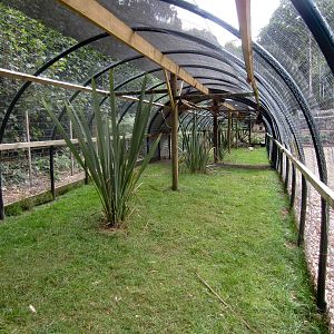 Aviaries