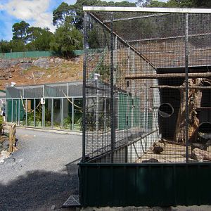 Capybara and marmoset enclosures