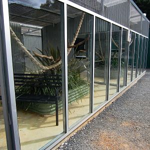 Common Marmoset enclosure