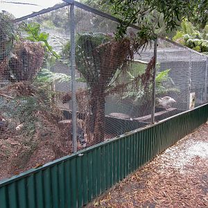Domestic fowl aviaries