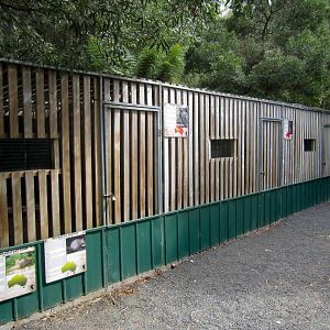 Enclosures for nocturnal species - Owl, Harrier, Possum and Bettong