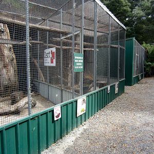 Quoll enclosures