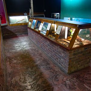 Reptile enclosures
