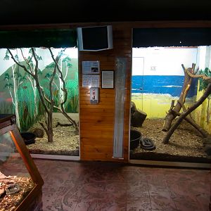 Reptile enclosures