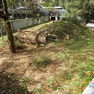 Tasmanian Devil enclosure