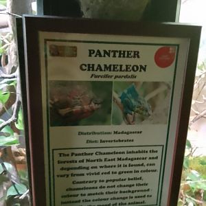 New signage in the reptile House, CWP