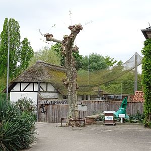 Küstenpanorama seen from afar