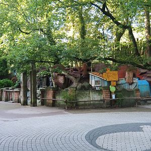 Asian small-clawed otter exhibit, 2023-09-24