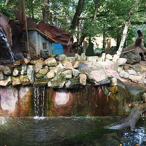 Asian small-clawed otter exhibit, 2023-09-24