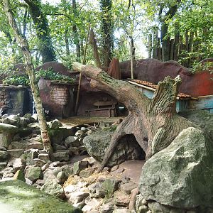 Asian small-clawed otter exhibit, 2023-09-24