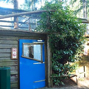 Entrance and exit of parakeet aviary, 2023-09-24