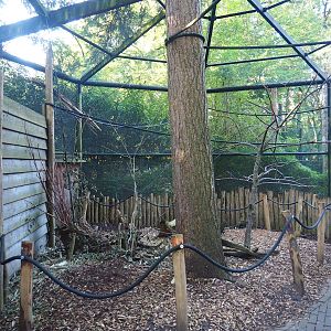 Parakeet aviary, 2023-09-24