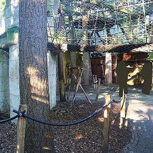 Parakeet aviary, 2023-09-24